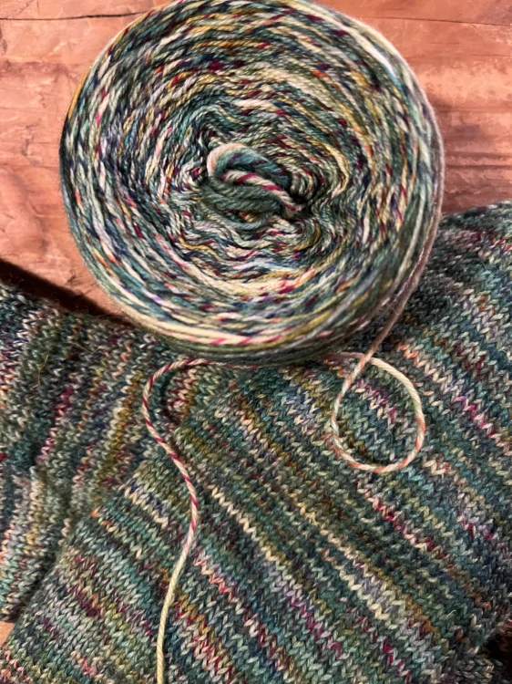 Ručně barvená Zebra sock